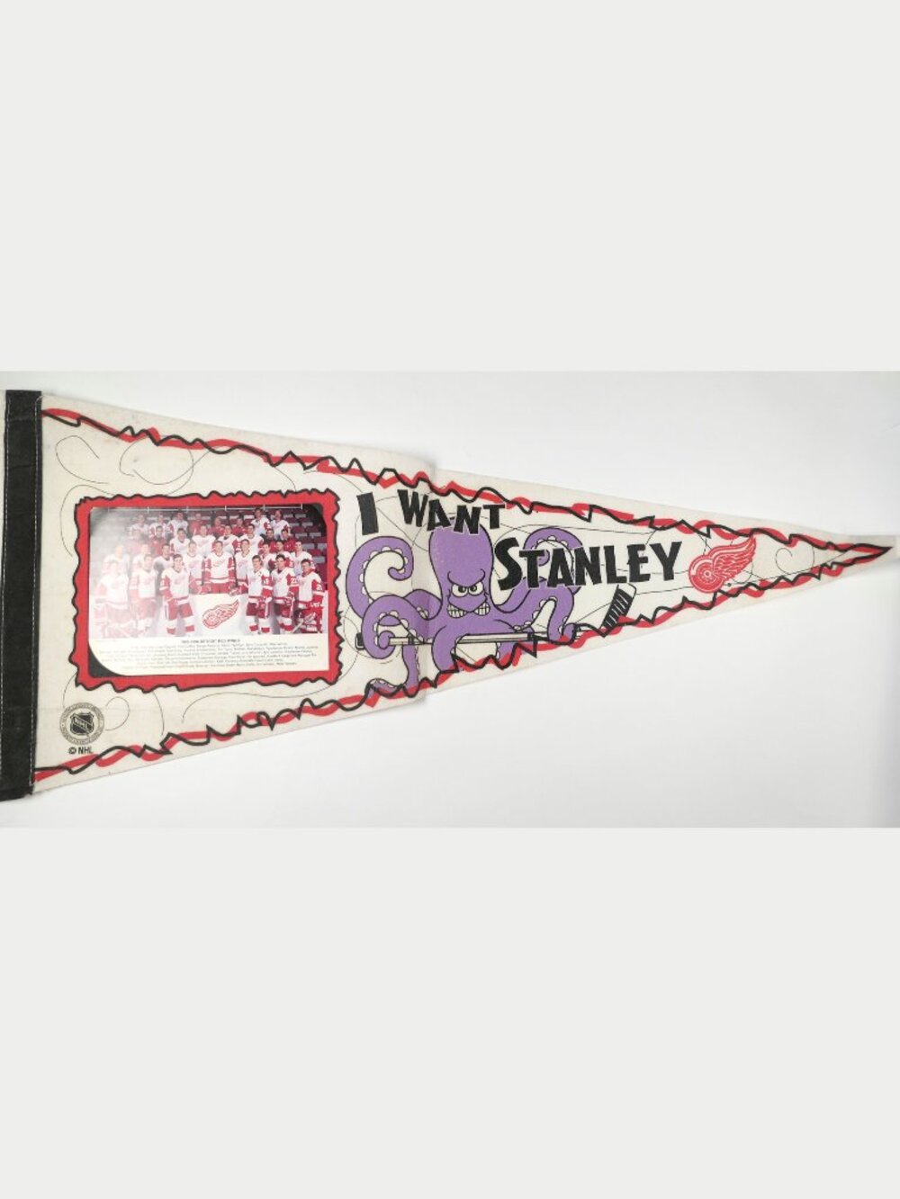 DETROIT RED WINGS Vintage NHL 1995-96 "I Want Stanley" Team Photo Pennant Banner